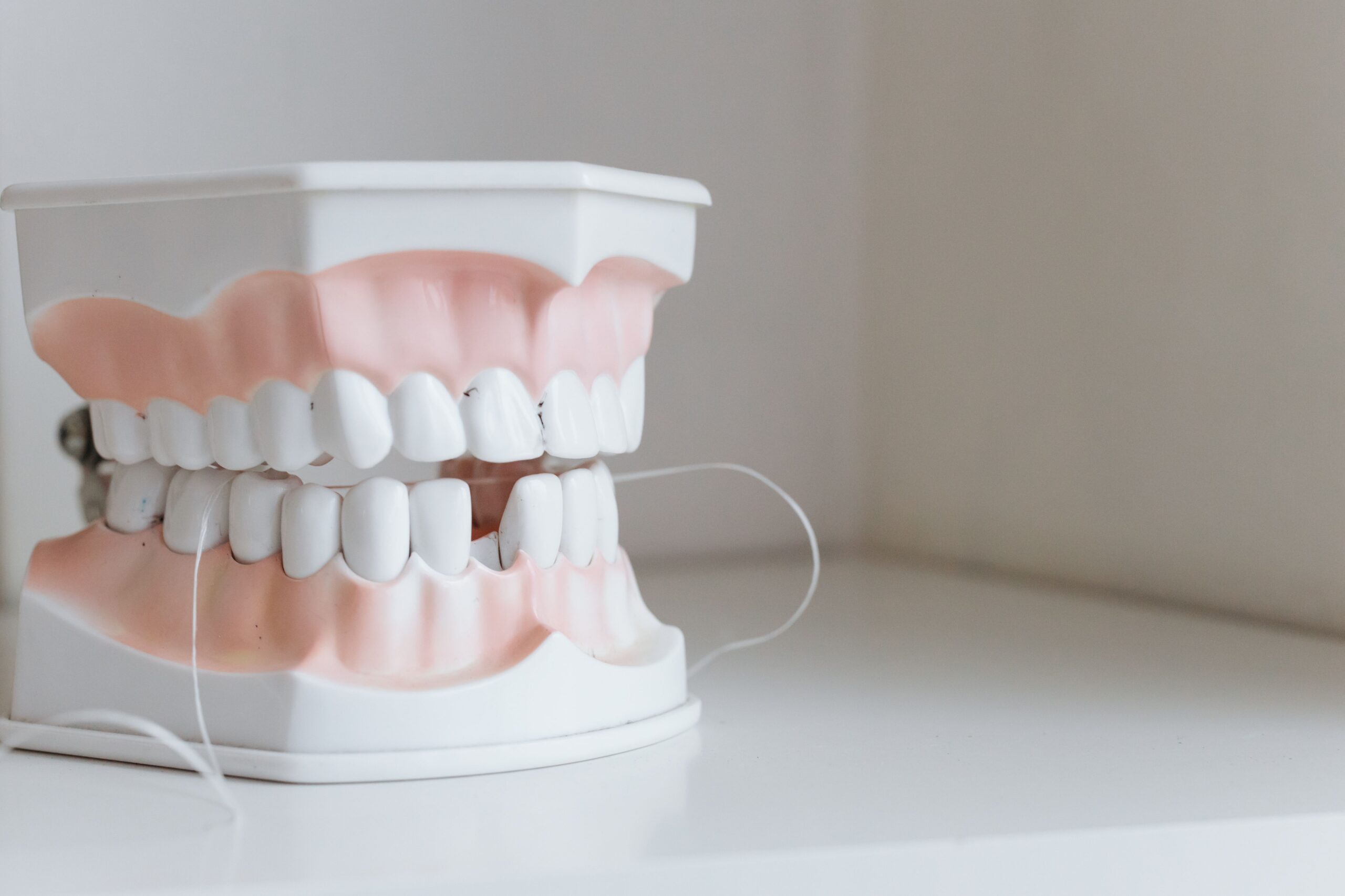 Dentist reviewing a dental model at Integrated Aesthetic Dentistry